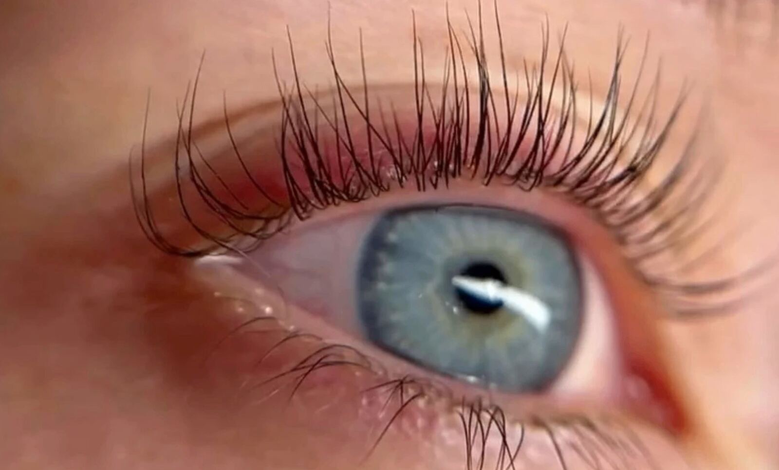Lash & Brows